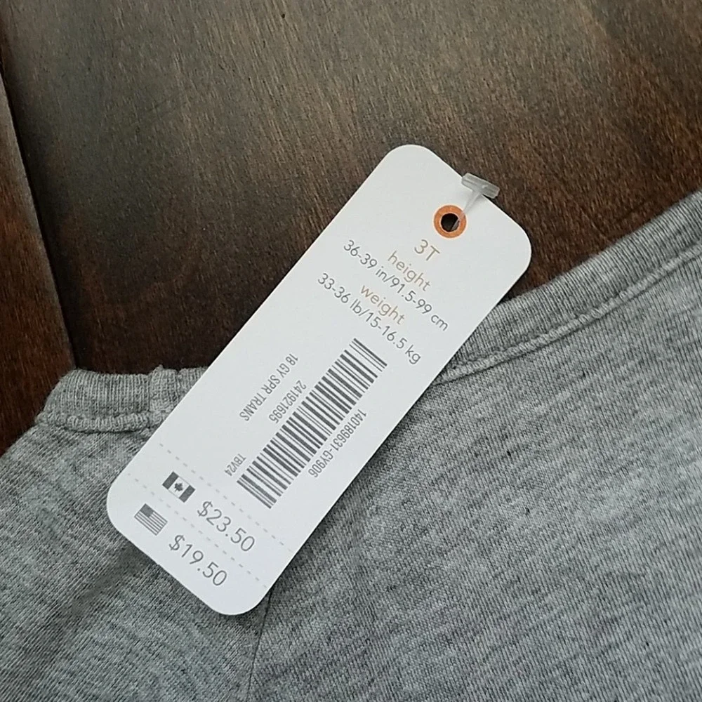 NWT Gymboree Mother Earth Tee (3T)